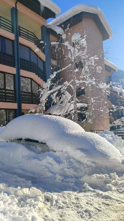 Гараж в Краснодарский край, Сочи Виноградная ул., 123/7 (18 м) - Фото 2