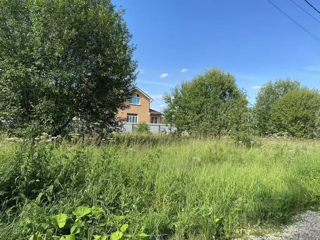 Участок в Московская область, Домодедово городской округ, с. Красный ... - Фото 2