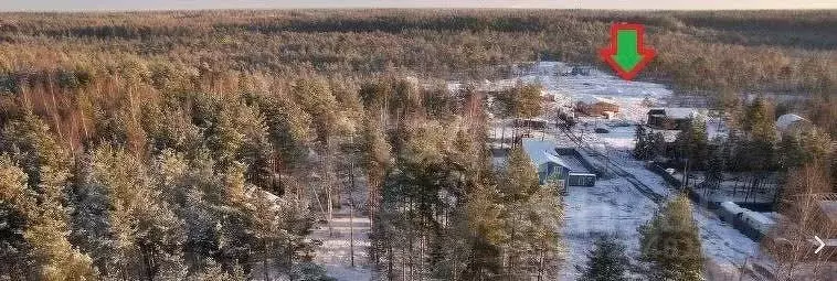 Участок в Ленинградская область, Всеволожское городское поселение, ... - Фото 0