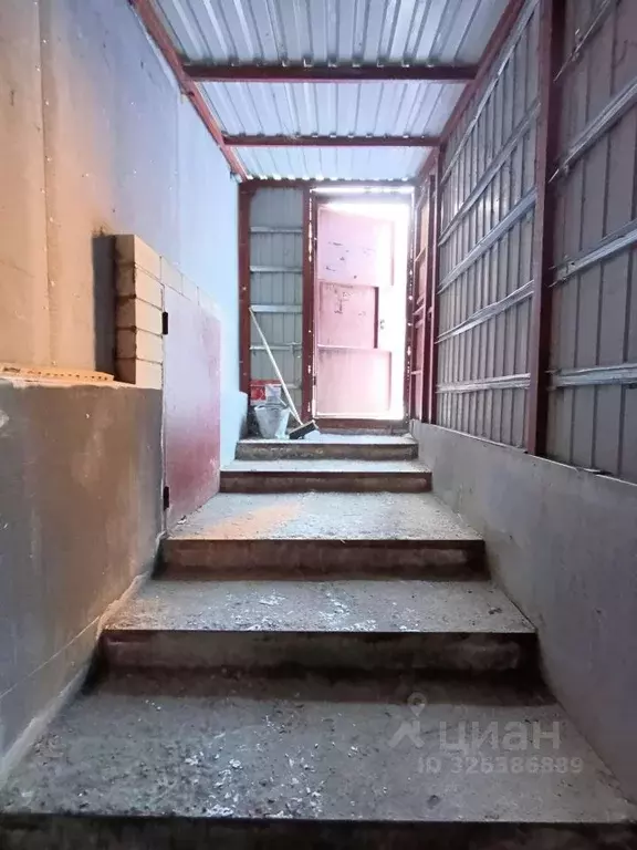 Помещение свободного назначения в Курганская область, Курган ул. Коли ... - Фото 2