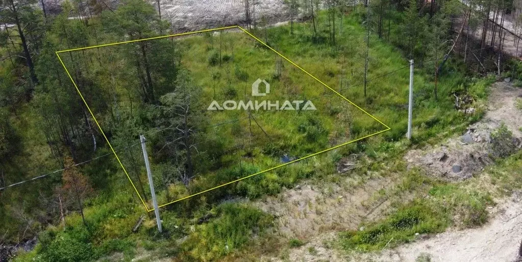 Участок в Ленинградская область, Всеволожское городское поселение, ... - Фото 2