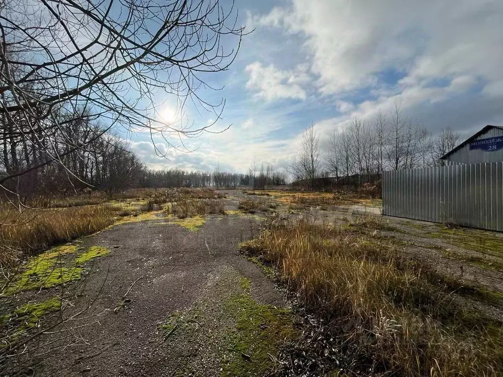 Склад в Тульская область, Веневский муниципальный округ, пос. ... - Фото 1