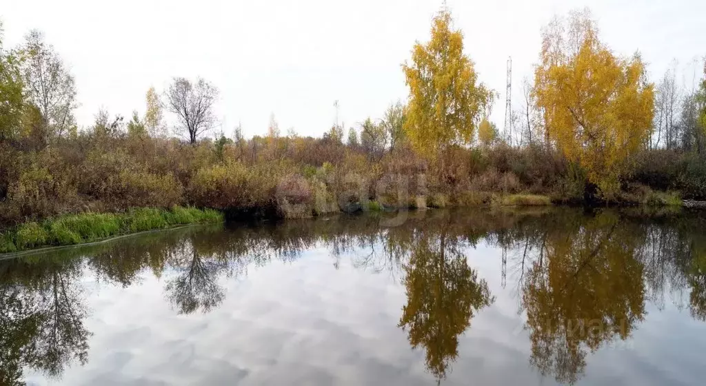 Дом в Тюменская область, Тюмень Осень-1 ТСН, ул. 18-я Дачная (41 м) - Фото 2