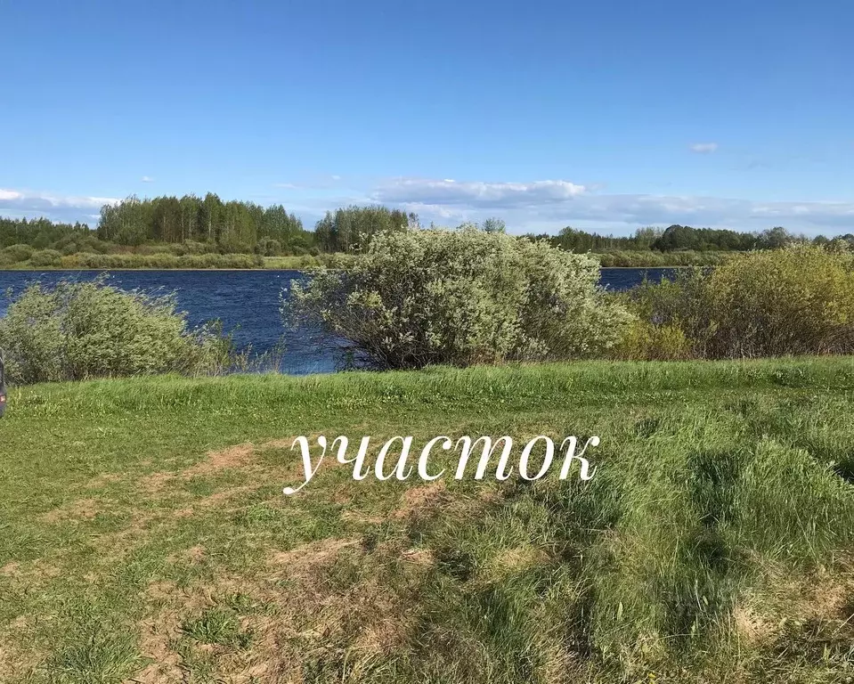 Участок в Псковская область, Палкинская волость, д. Мольгино  (77.7 ... - Фото 1