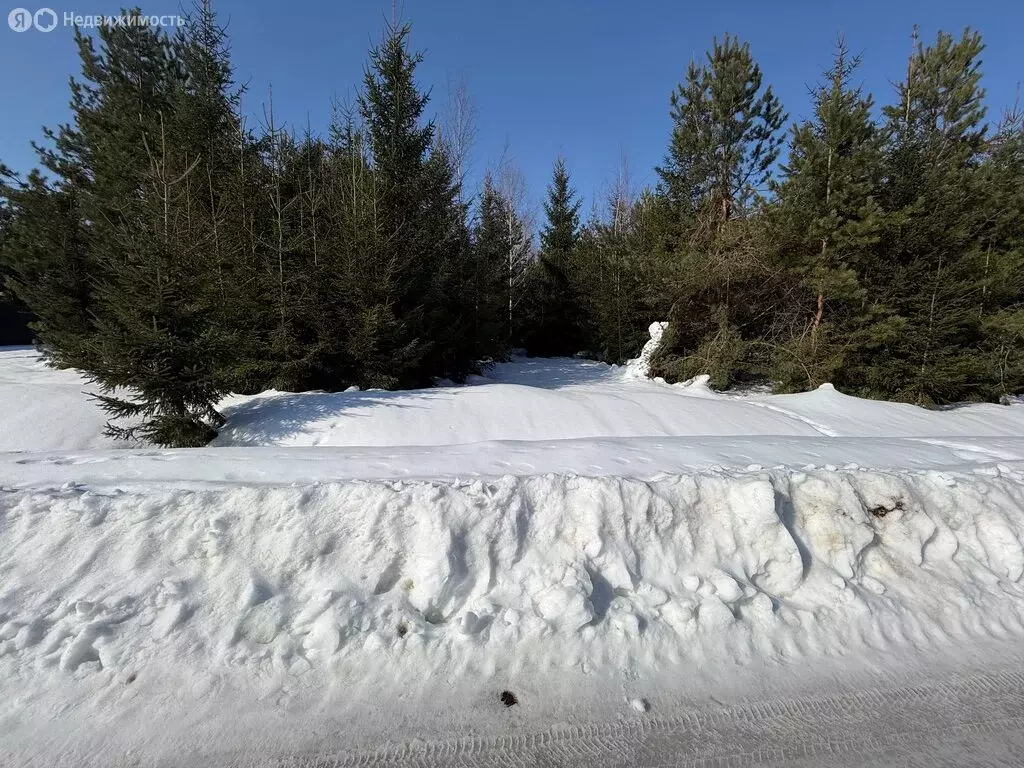 Участок в Александров, Спасская улица, 80 (10 м) - Фото 1