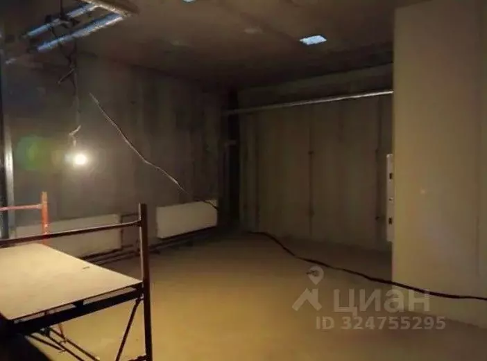 Помещение свободного назначения в Санкт-Петербург просп. Энергетиков, ... - Фото 1