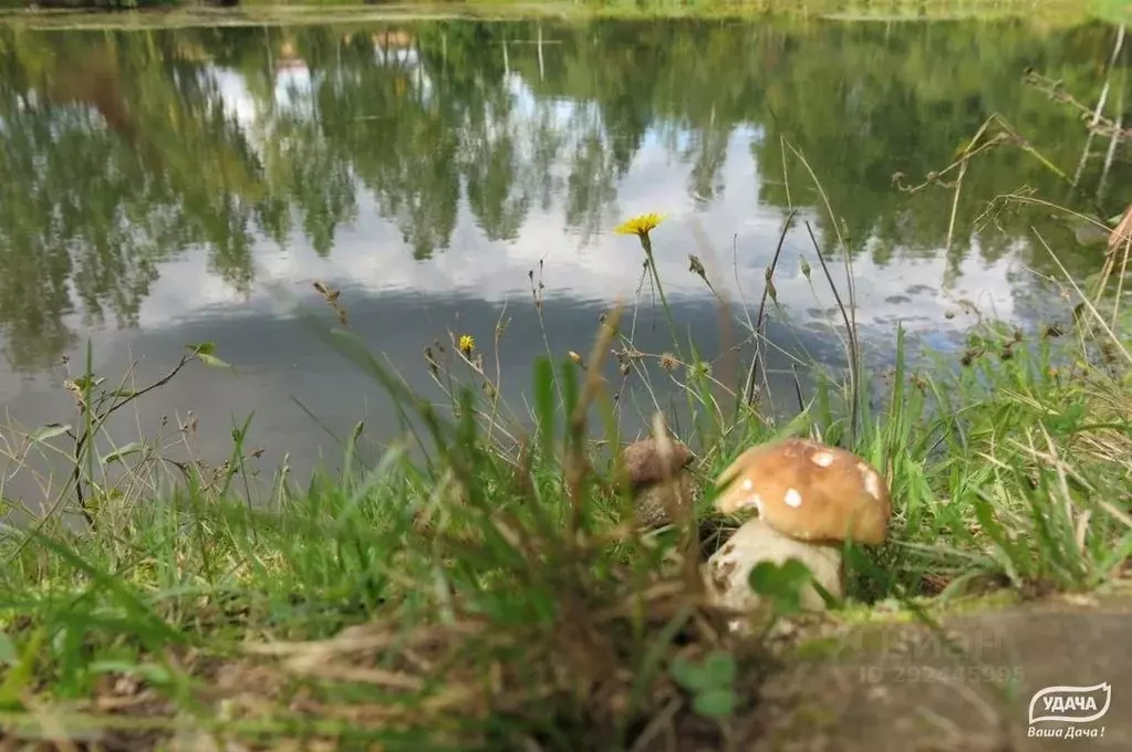 Участок в Калужская область, Малоярославецкий муниципальный округ, ... - Фото 2