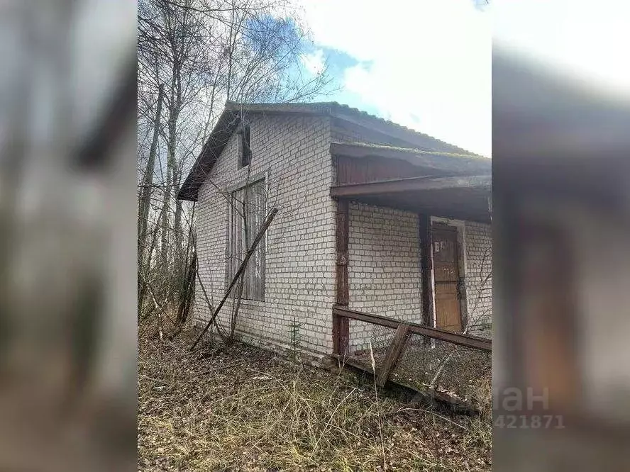 Помещение свободного назначения в Нижегородская область, Сокольский ... - Фото 2