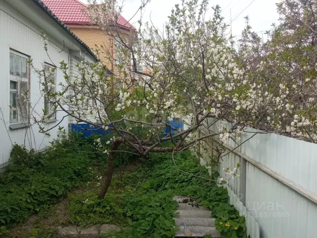 3-к кв. Брянская область, Жуковка ул. Матросова, 2 (61.0 м) - Фото 1