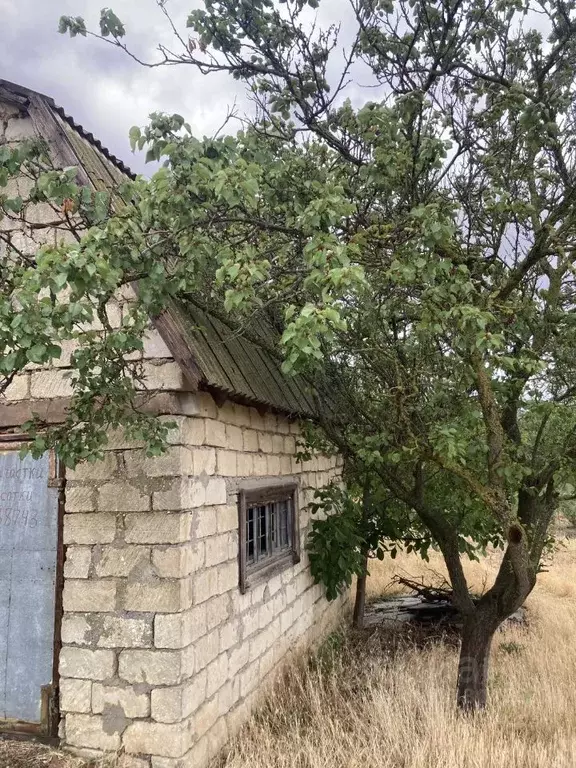 Участок в Крым, Кировский район, с. Журавки пер. Северный (45.0 сот.) - Фото 2