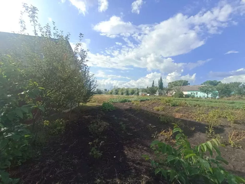 Дом в Воронежская область, Рамонский район, с. Большая Верейка ... - Фото 1