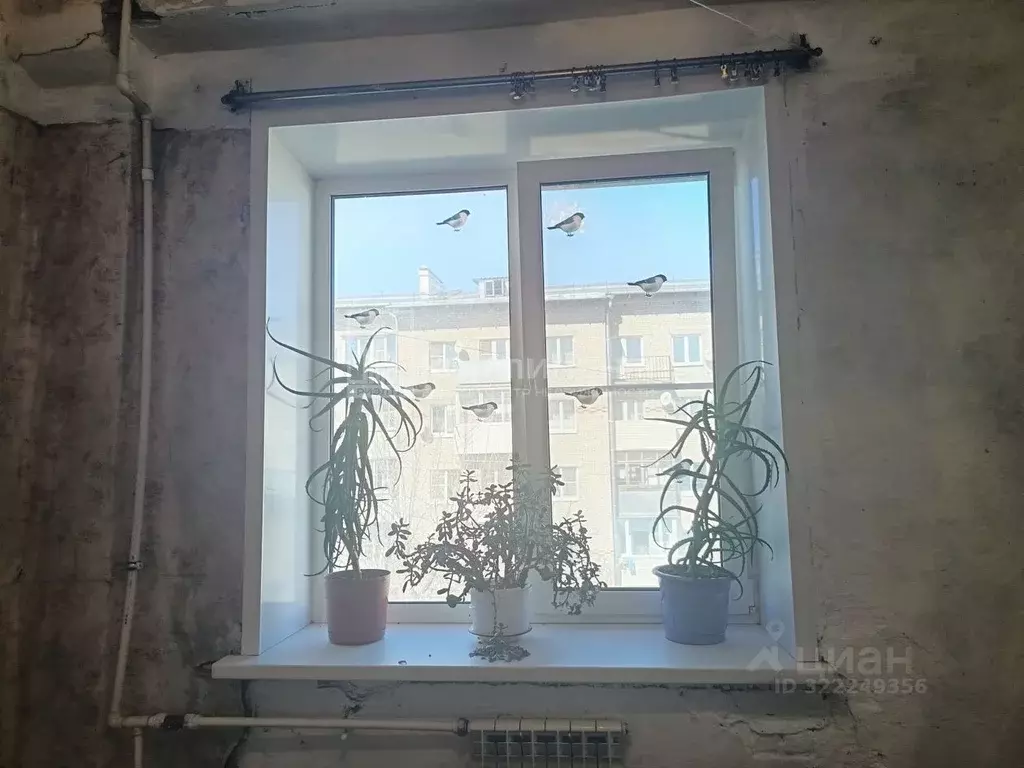 Комната Владимирская область, Вязники ул. Калинина, 7 (26.0 м) - Фото 1
