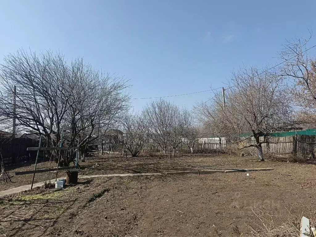 Участок в Волгоградская область, Волгоград Мичуринец СНТ, № 5 массив, ... - Фото 1