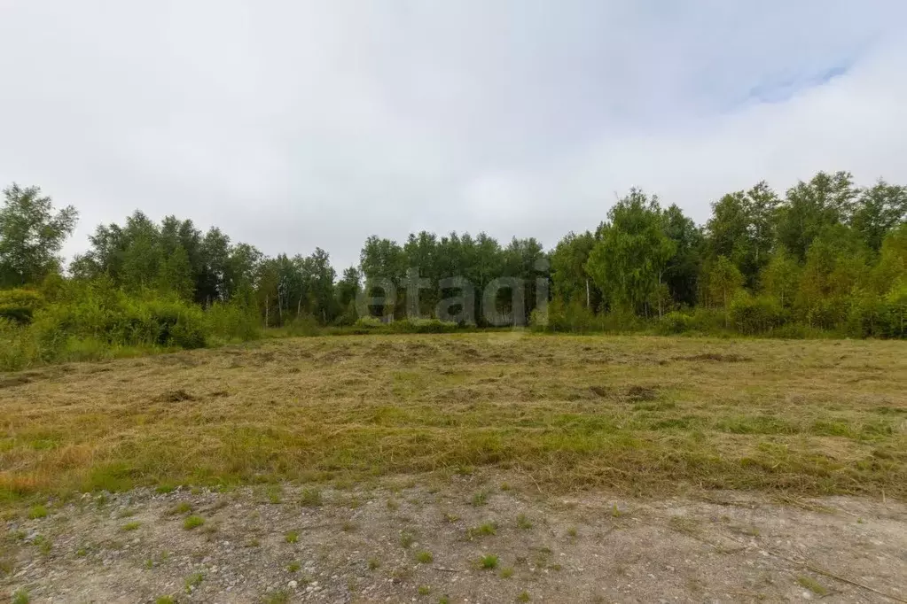 Участок в Тюменская область, Тюменский район, Дачи Хюгге ДНТ ул. ... - Фото 0