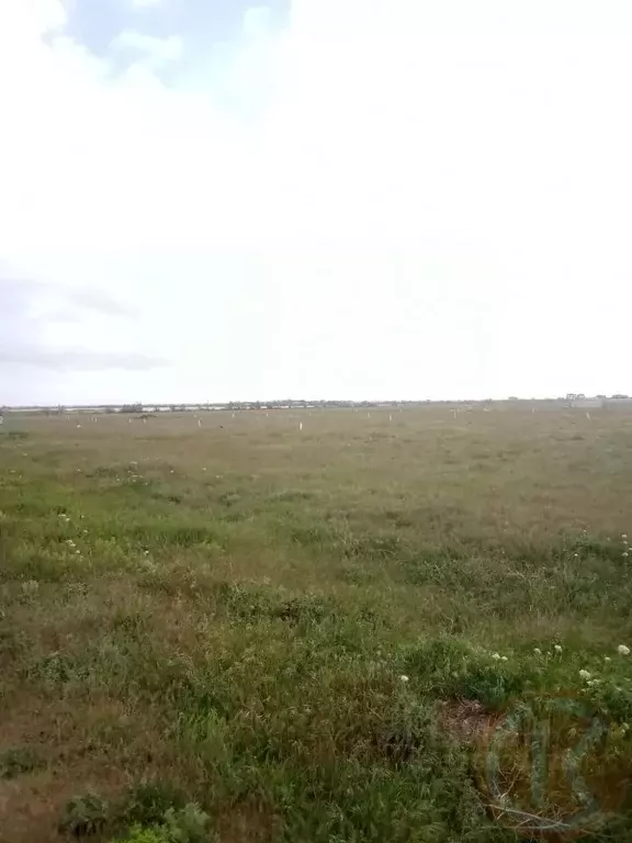 Участок в Крым, Сакский район, Митяевское с/пос, с. Шелковичное ул. ... - Фото 2