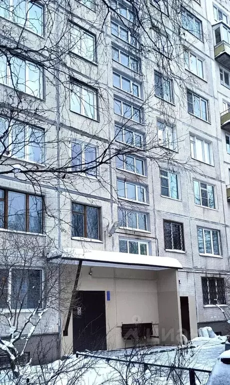 2-к кв. Санкт-Петербург ул. Вавиловых, 4К2 (45.8 м) - Фото 2