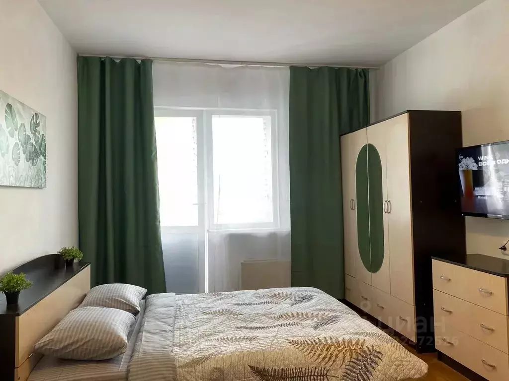 1-к кв. Московская область, Солнечногорск городской округ, Голубое пгт ... - Фото 2