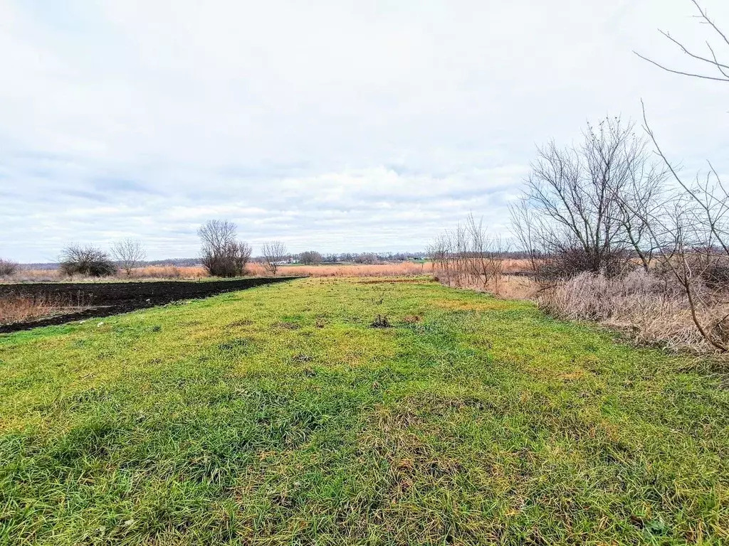Дом в Краснодарский край, Выселковский район, Бейсугское с/пос, ... - Фото 2