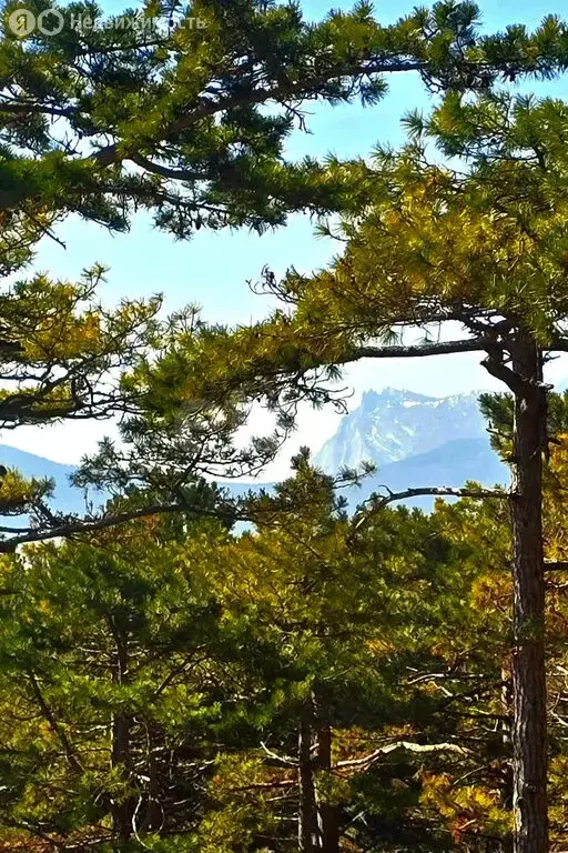 Дом в Республика Крым, муниципальный округ Ялта, посёлок городского ... - Фото 2