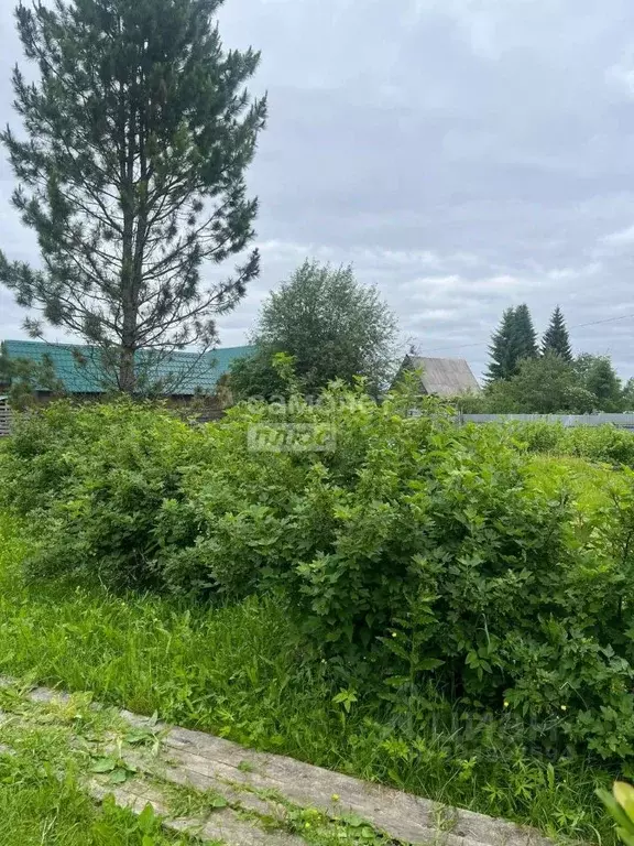 Участок в Коми, Сыктывдинский район, Выльгорт муниципальное ... - Фото 2