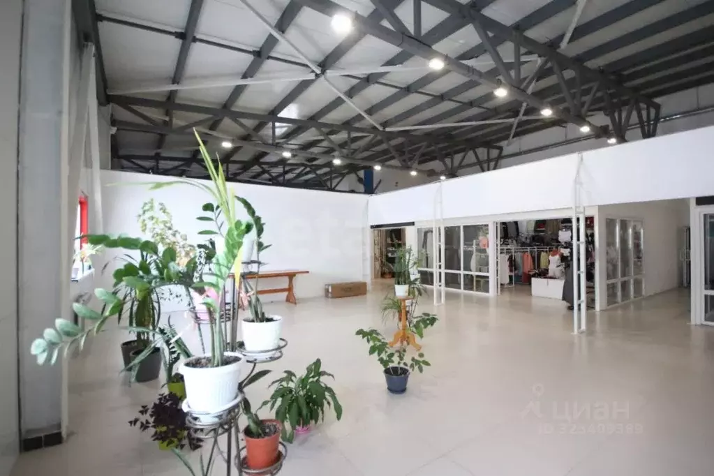 Торговая площадь в Ямало-Ненецкий АО, Новый Уренгой Строителей мкр, ... - Фото 1