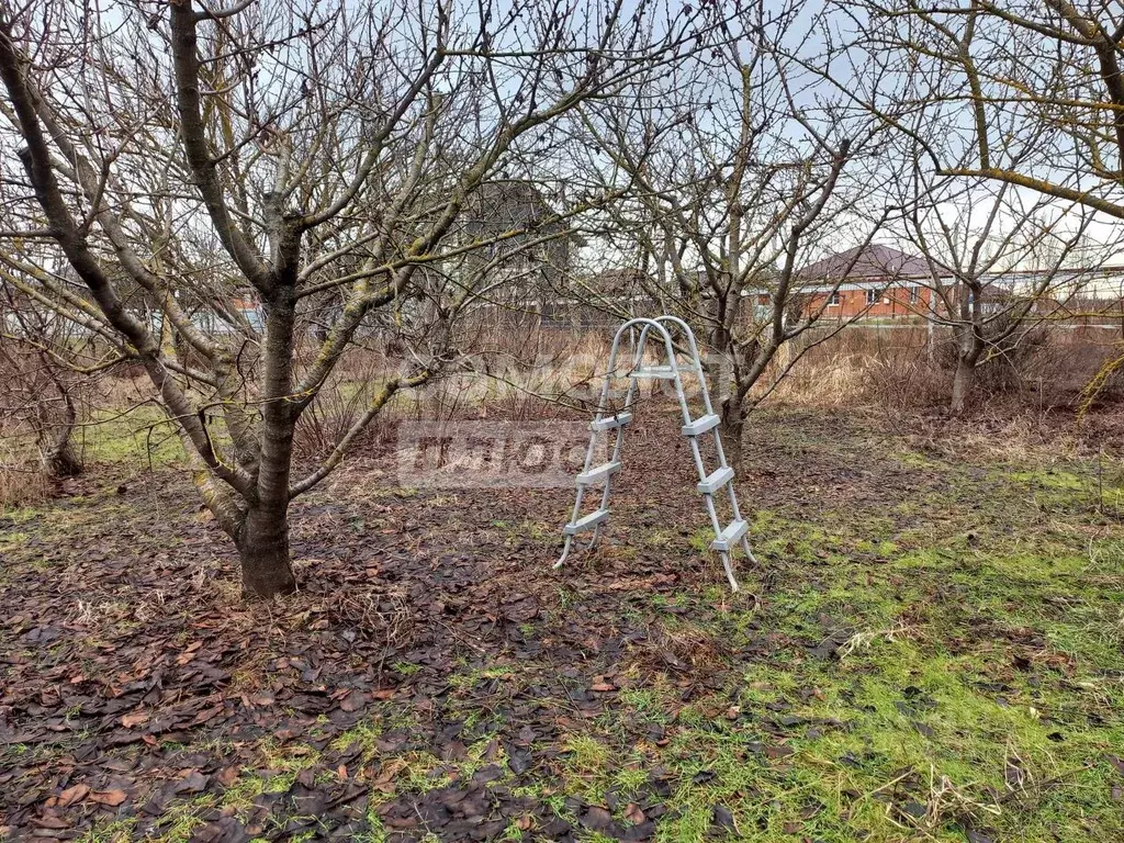 Участок в Краснодарский край, Динской район, Мичуринское с/пос, пос. ... - Фото 2