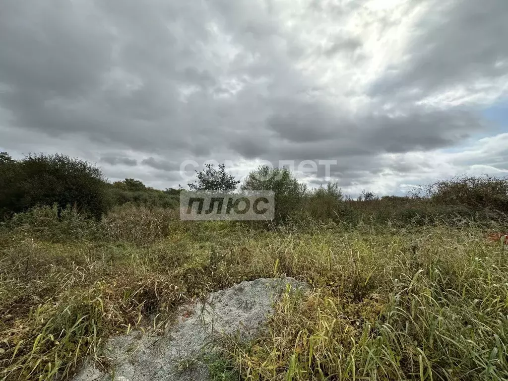 Участок в Приморский край, Надеждинский район, пос. Соловей-Ключ ул. ... - Фото 1