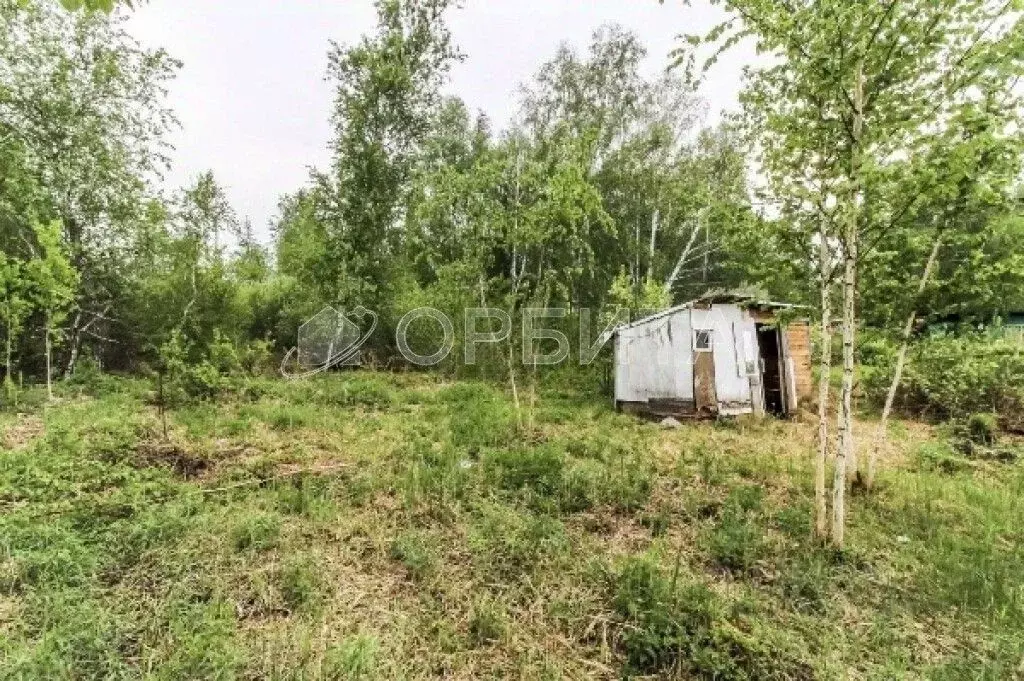 Участок в Тюменская область, Нижнетавдинский район, Лесная сказка СНТ ... - Фото 0
