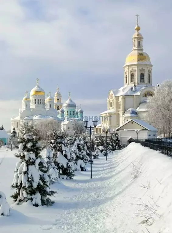 Участок в Нижегородская область, с. Дивеево ул. Дружная, 7 (20.6 сот.) - Фото 1