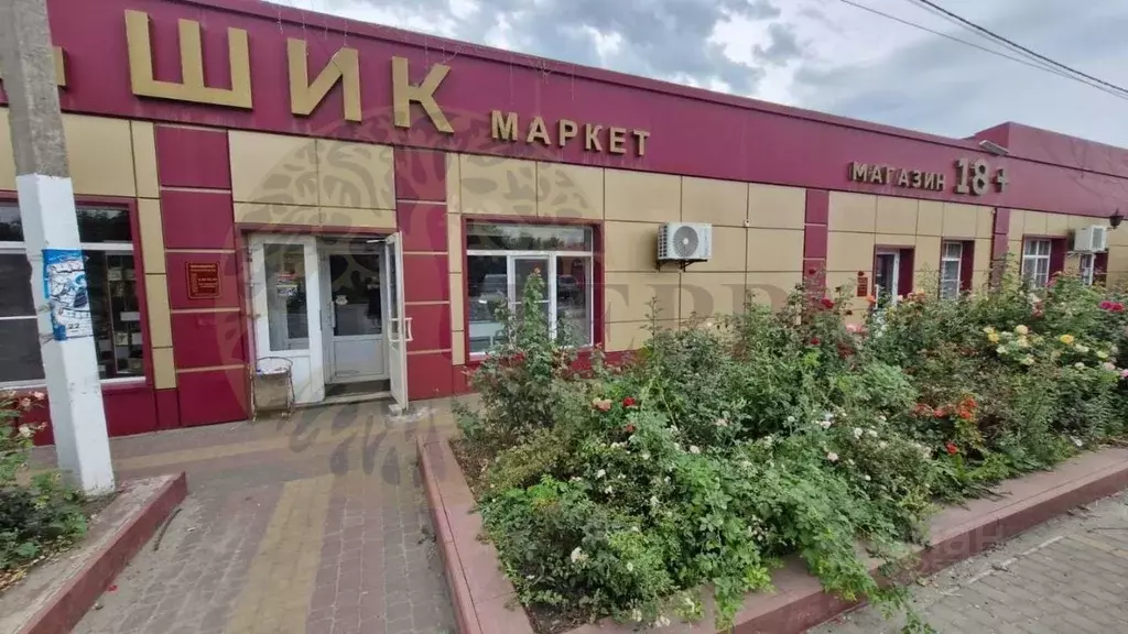 Торговая площадь в Воронежская область, Панино рп ул. 9 Января, 85 ... - Фото 1