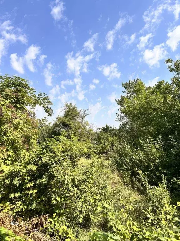 Участок в Ставропольский край, Ставрополь Автотруд садовое ... - Фото 2