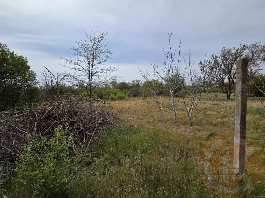 Участок в Крым, Сакский район, Митяевское с/пос, Эскулап СНТ  (5.0 ... - Фото 1