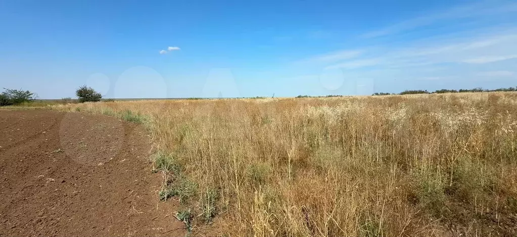 Участок 1,45 га (СНТ, ДНП) - Фото 0