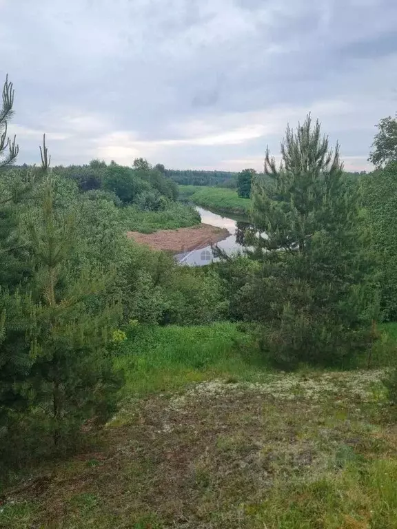 Дом в Новгородская область, Крестецкий муниципальный округ, д. Новое ... - Фото 1