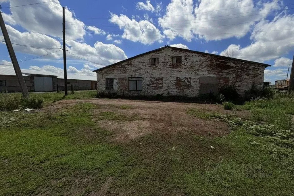 Производственное помещение в Оренбургская область, Саракташский район, ... - Фото 2