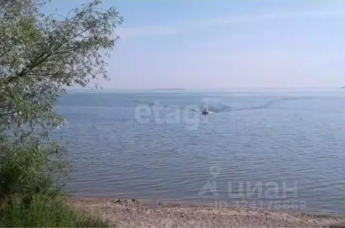 Участок в Новосибирская область, Новосибирский район, с. Боровое  ... - Фото 1