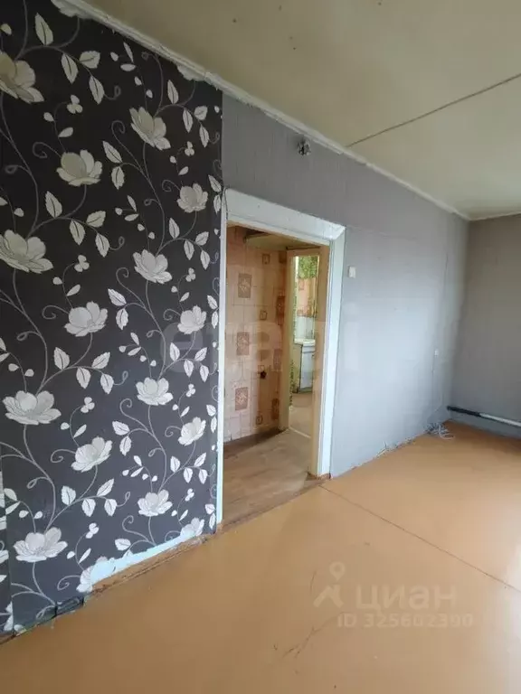 1-к кв. Красноярский край, Сосновоборский муниципальный округ, с. ... - Фото 2