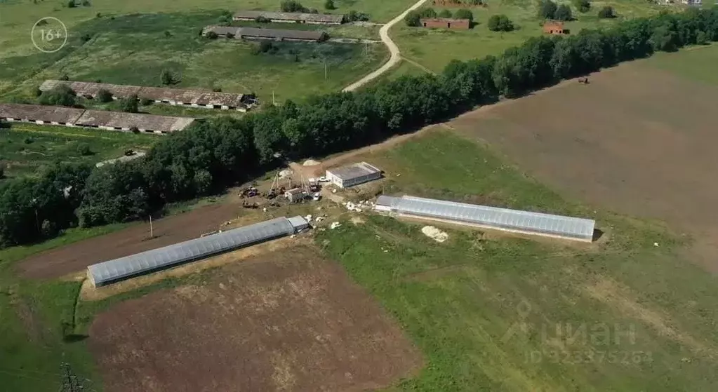 Производственное помещение в Тульская область, Ясногорский район, ... - Фото 1