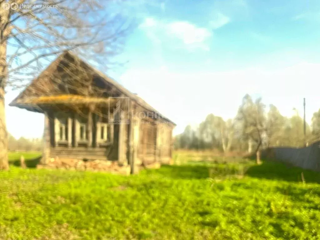 Участок в Владимирская область, Вязниковский муниципальный округ, ... - Фото 2