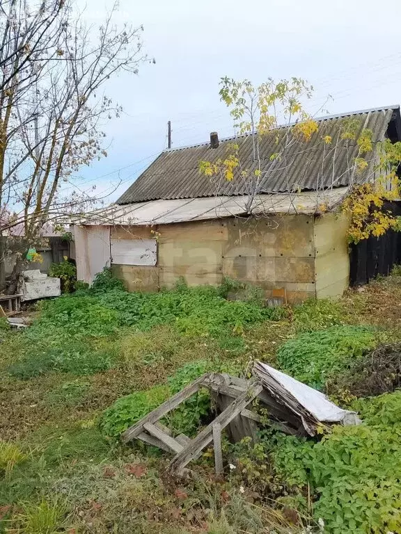 Участок в Хлевенский район, село Синдякино (10 м) - Фото 2