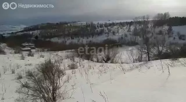 Участок в Алтайский район, село Алтайское (283 м) - Фото 0