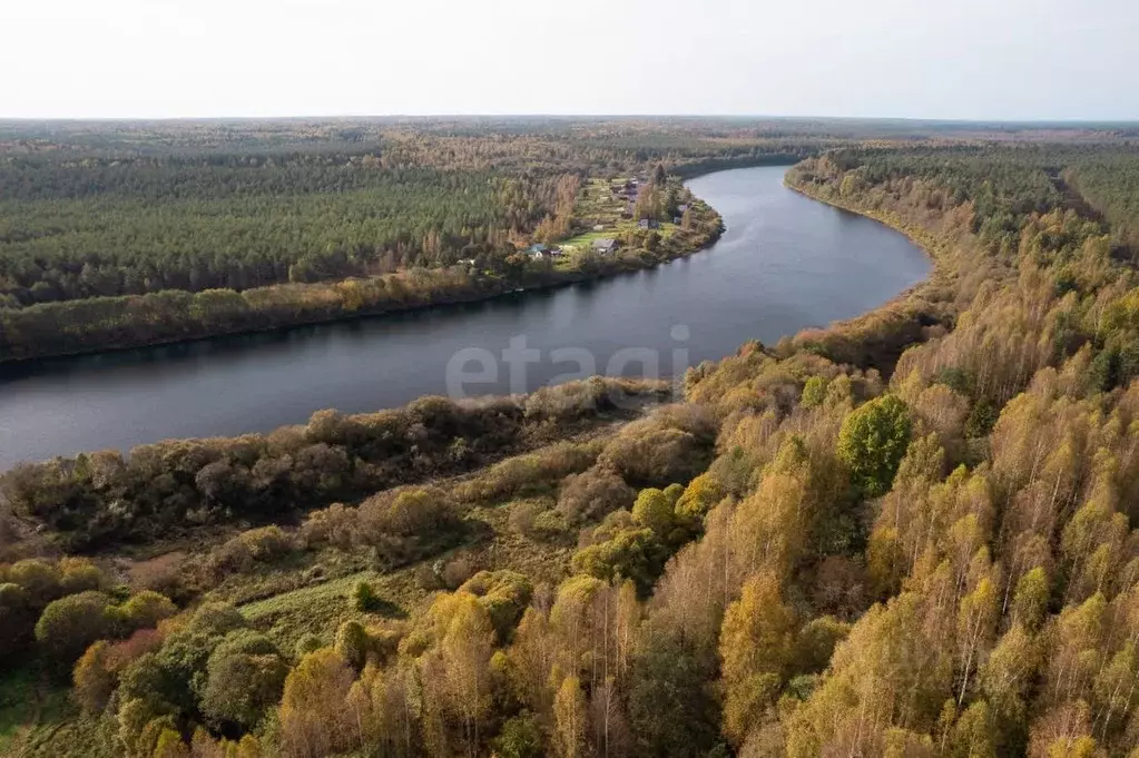 Участок в Ленинградская область, Волховский район, Пашское с/пос, д. ... - Фото 1