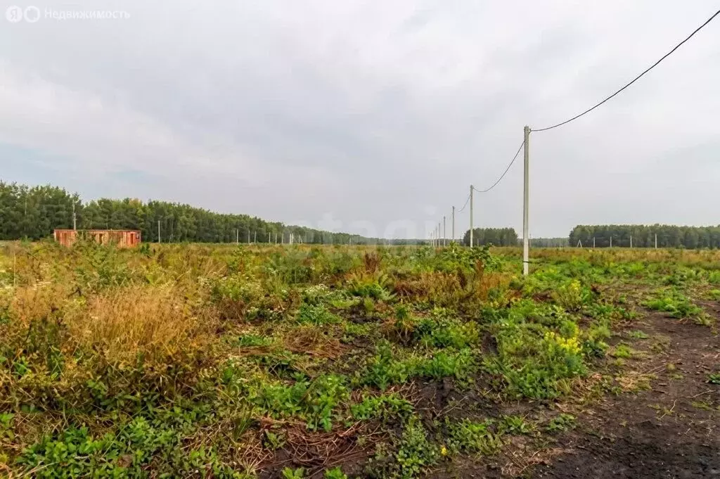 Участок в муниципальный округ Омский район, посёлок Омский (10 м) - Фото 1