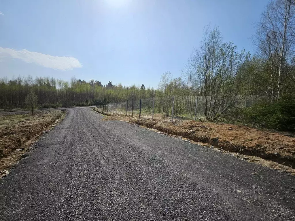 Участок в Московская область, Дмитровский муниципальный округ, д. ... - Фото 2