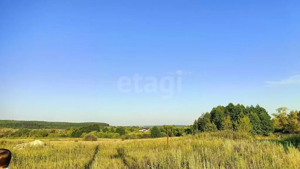 Участок в Мордовия, Лямбирский район, Пензятское с/пос, с. Пензятка ... - Фото 2