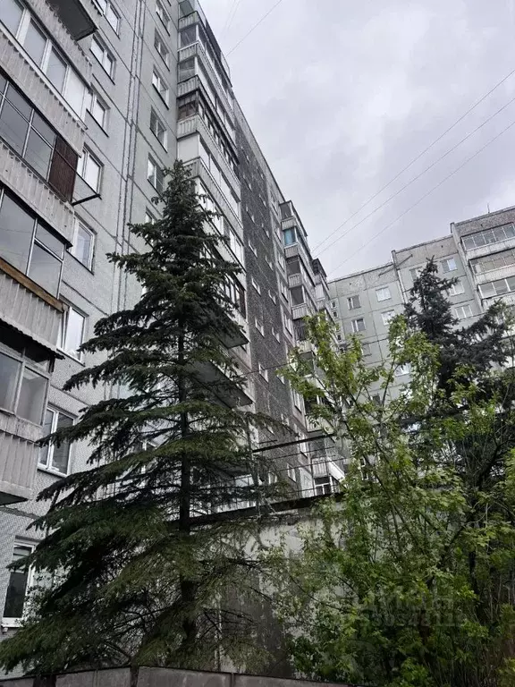 1-к кв. Красноярский край, Красноярск Ветлужанка мкр, ул. Петра ... - Фото 1