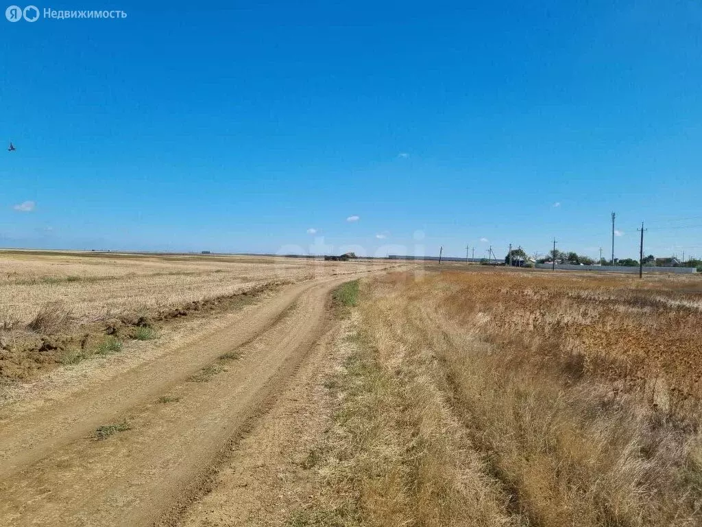 Участок в Синицынское сельское поселение (1123 м) - Фото 2