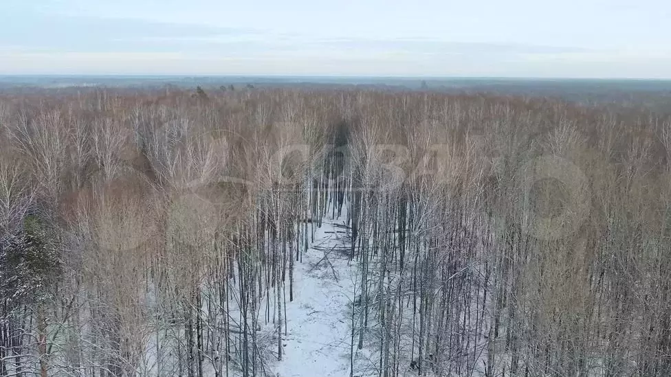 Участок 9,66 га (СНТ, ДНП) - Фото 1