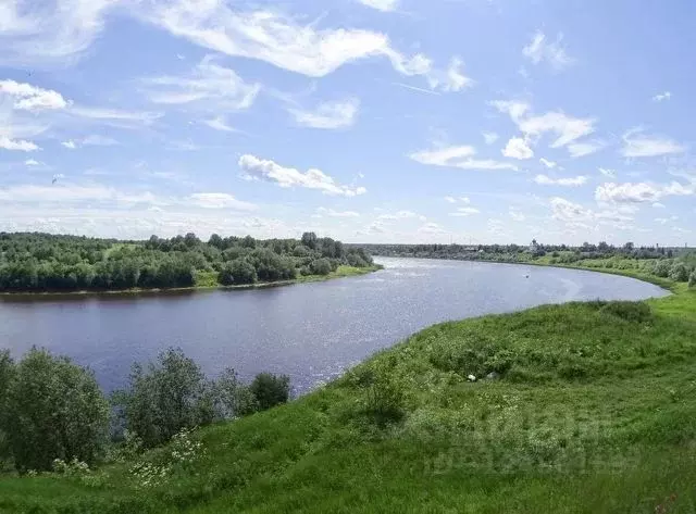 Участок в Новгородская область, Новгородский район, Савинское с/пос, ... - Фото 1