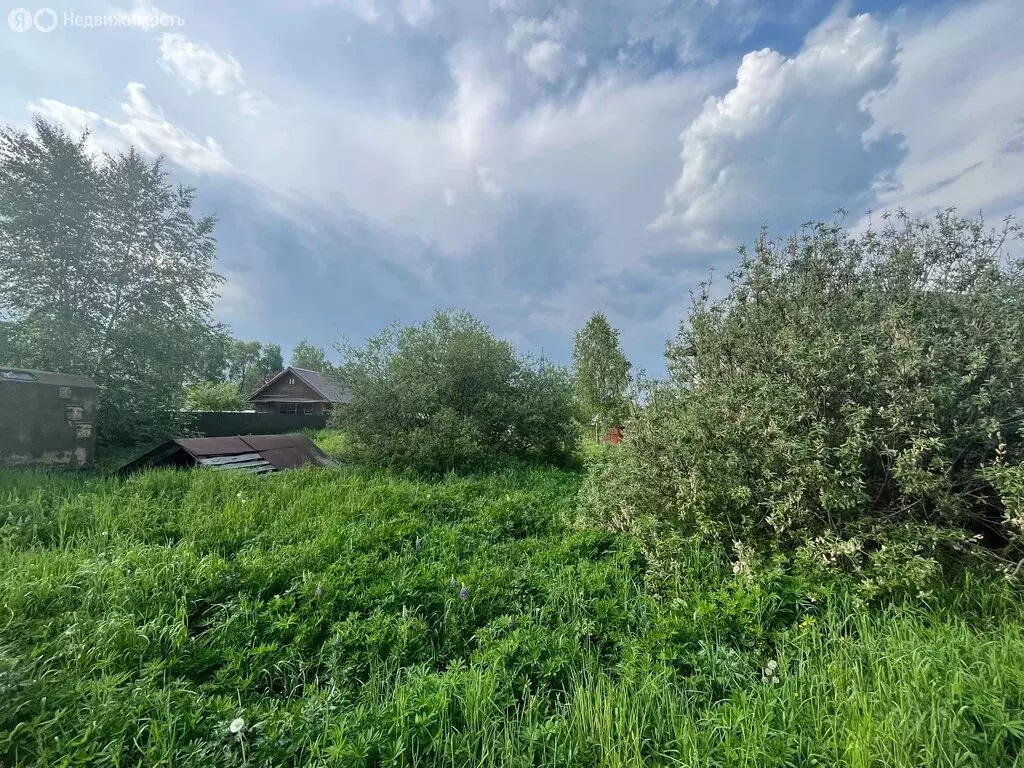 Участок в Сергиево-Посадский городской округ, садовое товарищество ... - Фото 0